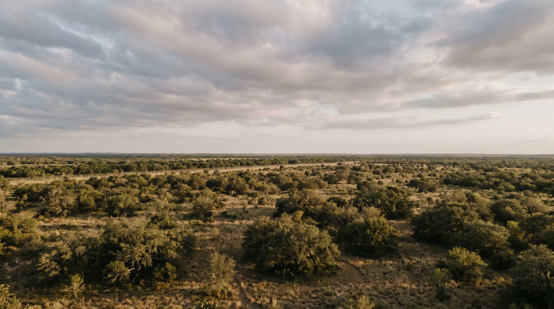 Aerial view of Ty Co Ranch's high-fenced South Texas brush country property